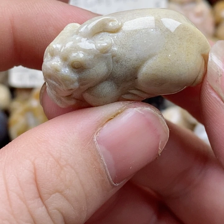 颈饰未镶嵌硅化珊瑚（珊瑚玉）小