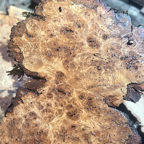 紫檀木类家具l*u