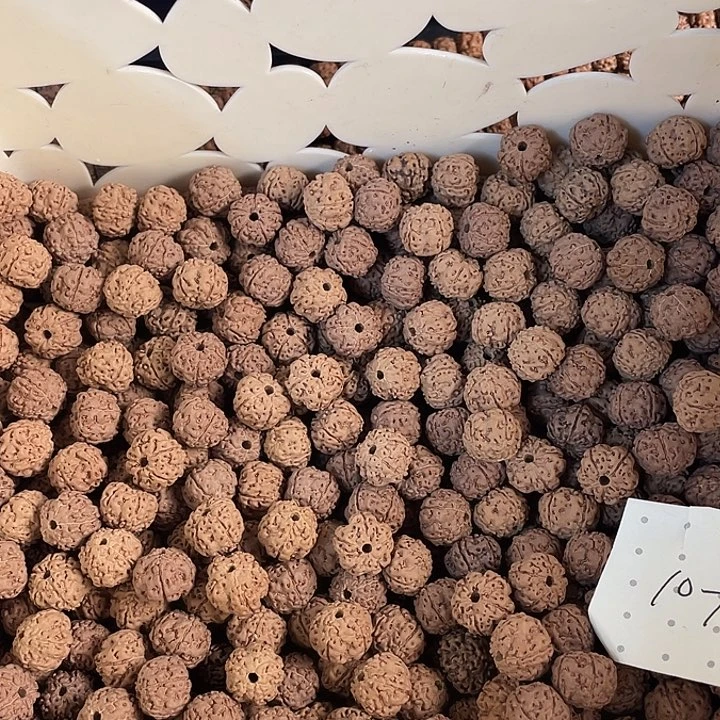 金刚菩提吊坠平细散籽福利19.9一百一十颗