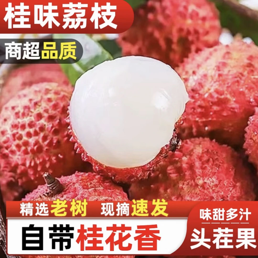 【京东/极兔冷链专线】广东桂味荔枝现摘现发当季水果多仓发货