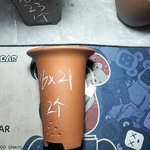 小红兰花两个微瑕