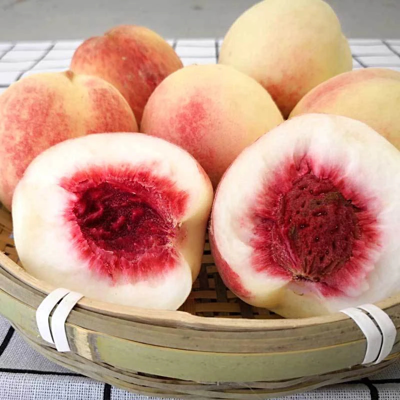 丹东河口秋白桃红心桃酸甜可口现摘现发果大味美