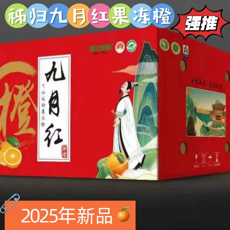 秭归九月红果冻橙秋冬薄皮香橙新鲜采摘果肉细嫩皮薄多汁甘甜爆汁