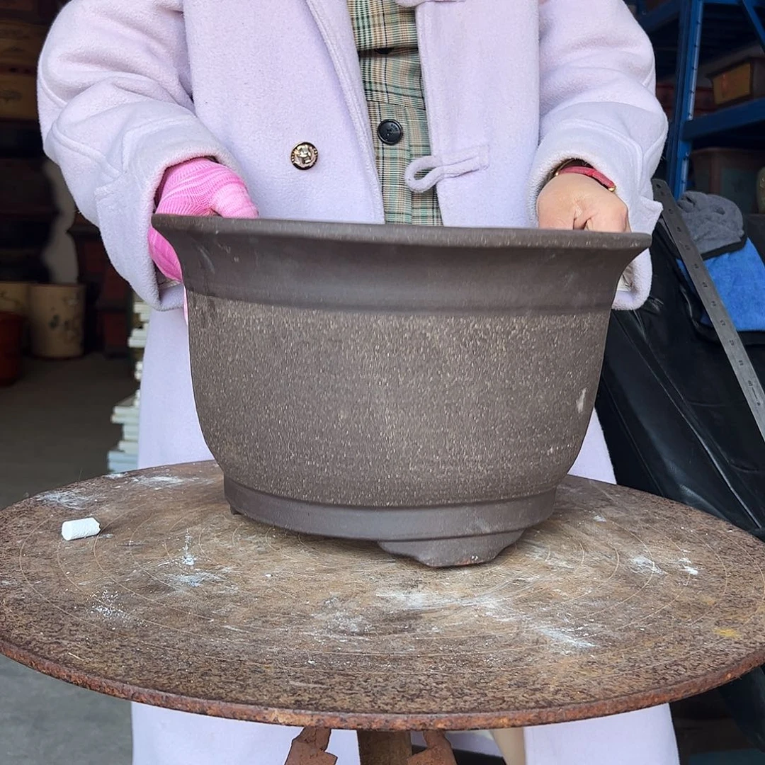 30拉毛小马一只花盆花盆