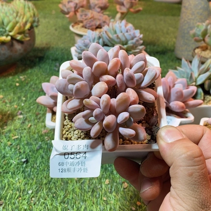 0564啊啊啊啊啊啊啊