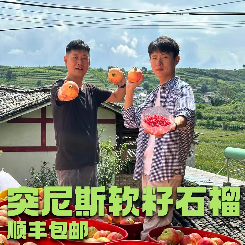 【东北家兴】四川会理突尼斯软籽石榴颗颗爆汁水多多（顺丰包邮）