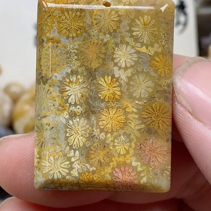 颈饰未镶嵌硅化珊瑚（珊瑚玉）