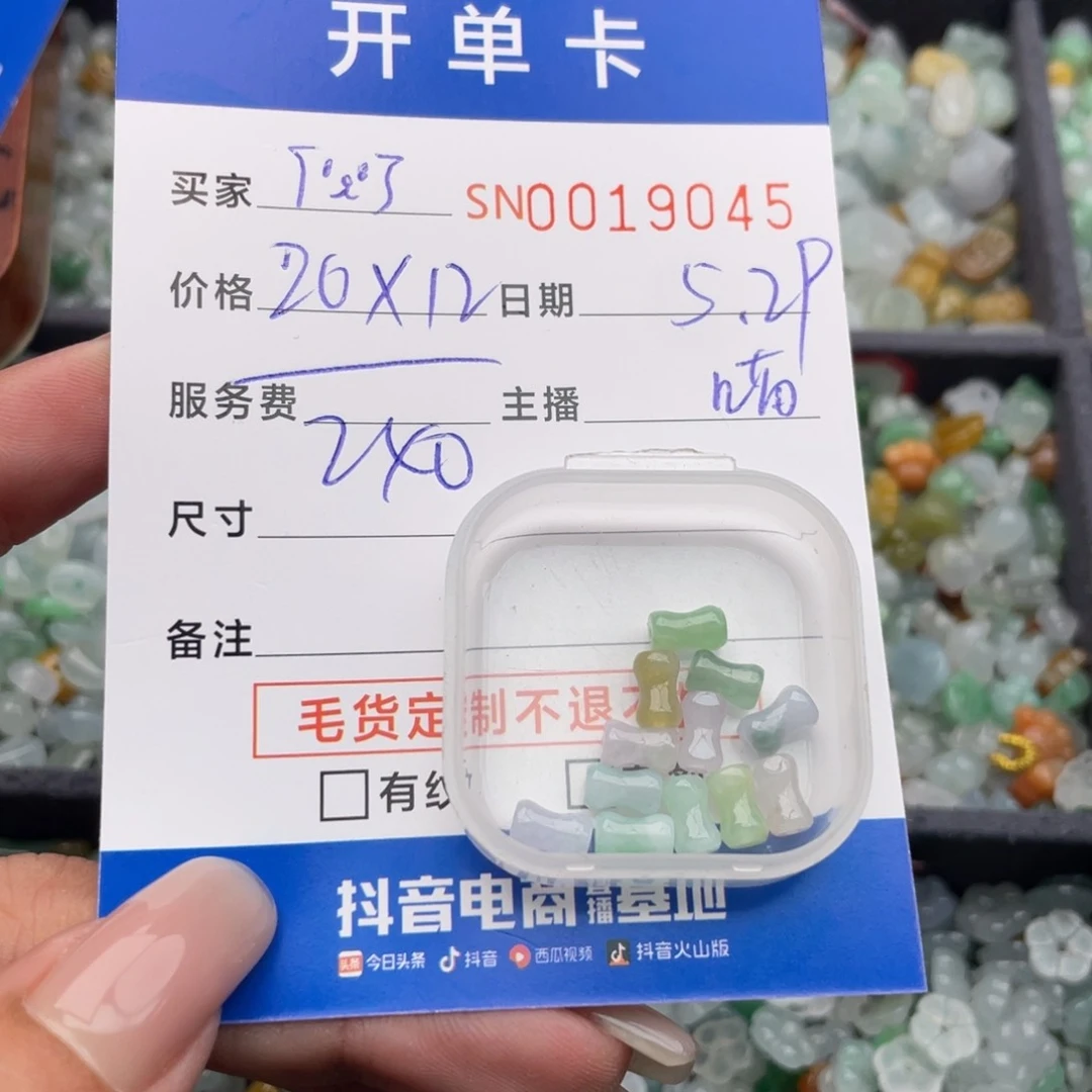 翡翠未镶嵌颈饰ʕ****ʔ00000019045