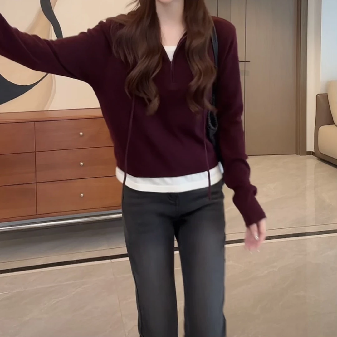 2025早秋设计感时尚舒适显瘦宽松套头半拉链连帽假两件条纹针织衫