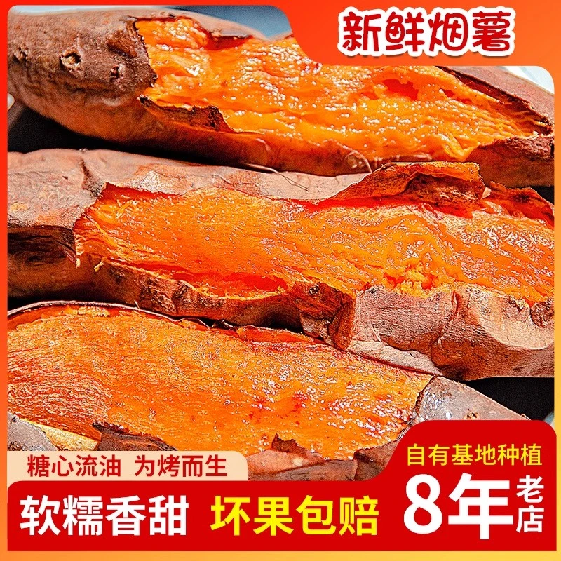 烟台沙地新鲜现挖糖心蜜薯烟薯25号软糯香甜烤烤薯店番薯板栗红薯