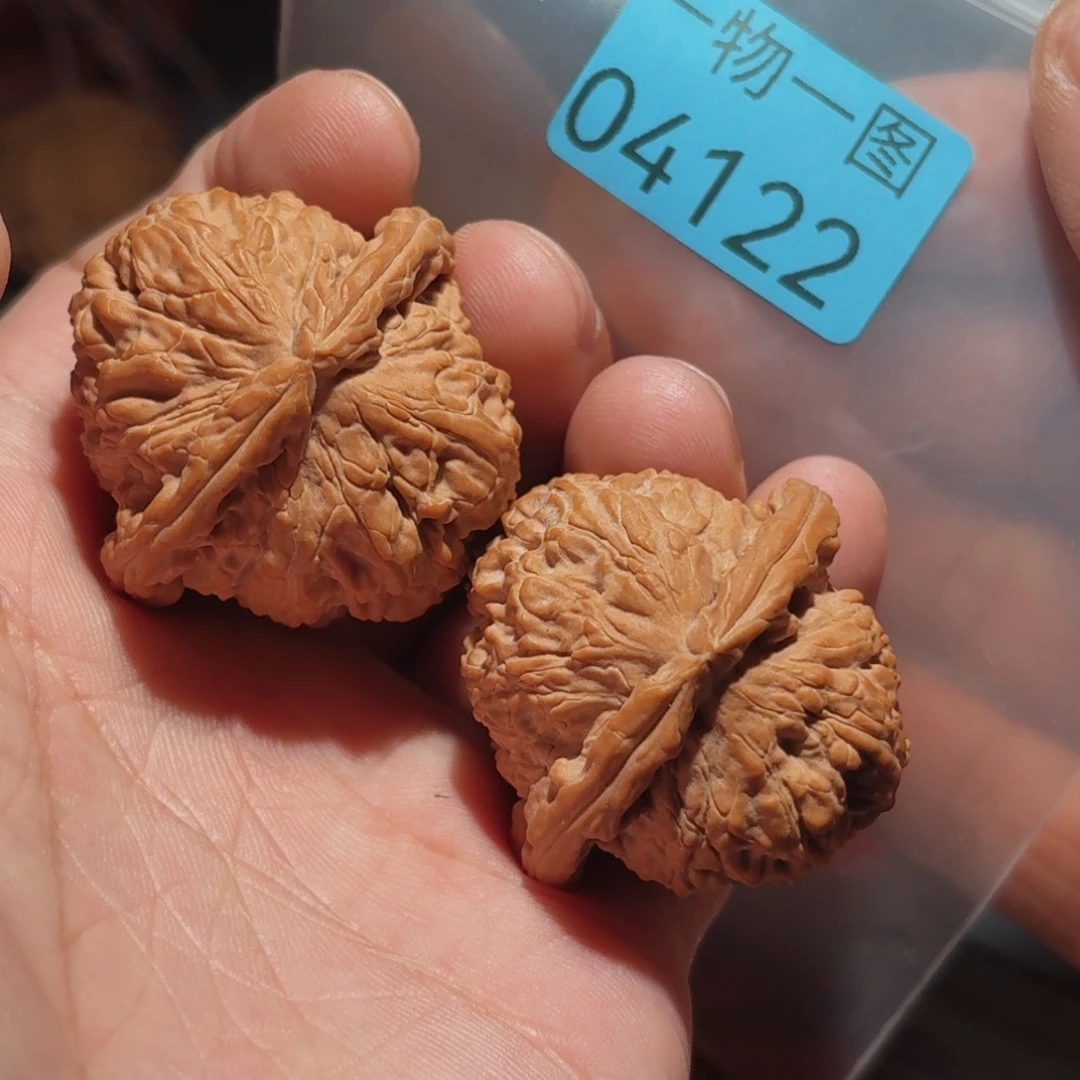 文玩核桃把件白狮子