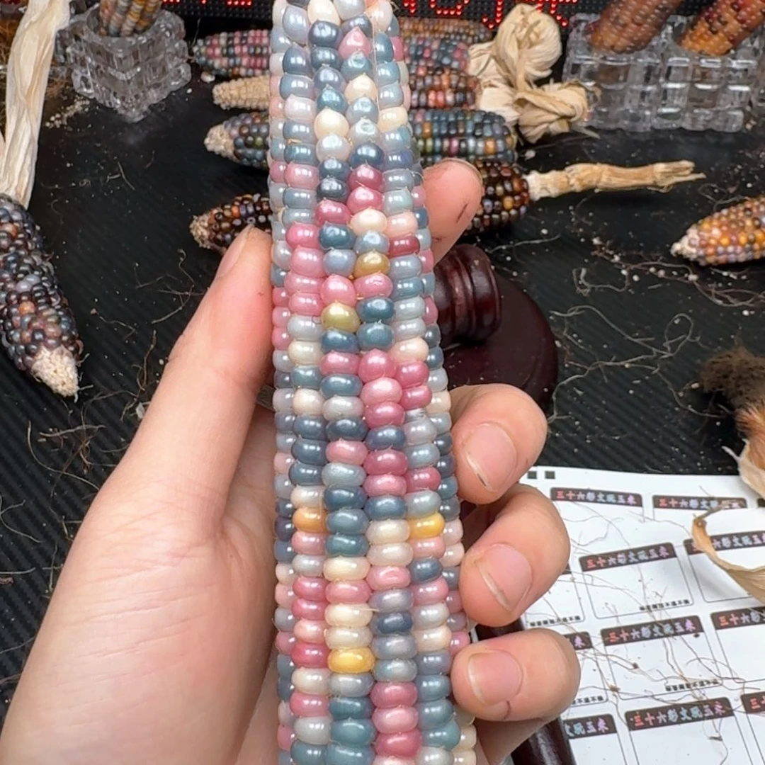 柏香籽/百香籽吊坠K****Y