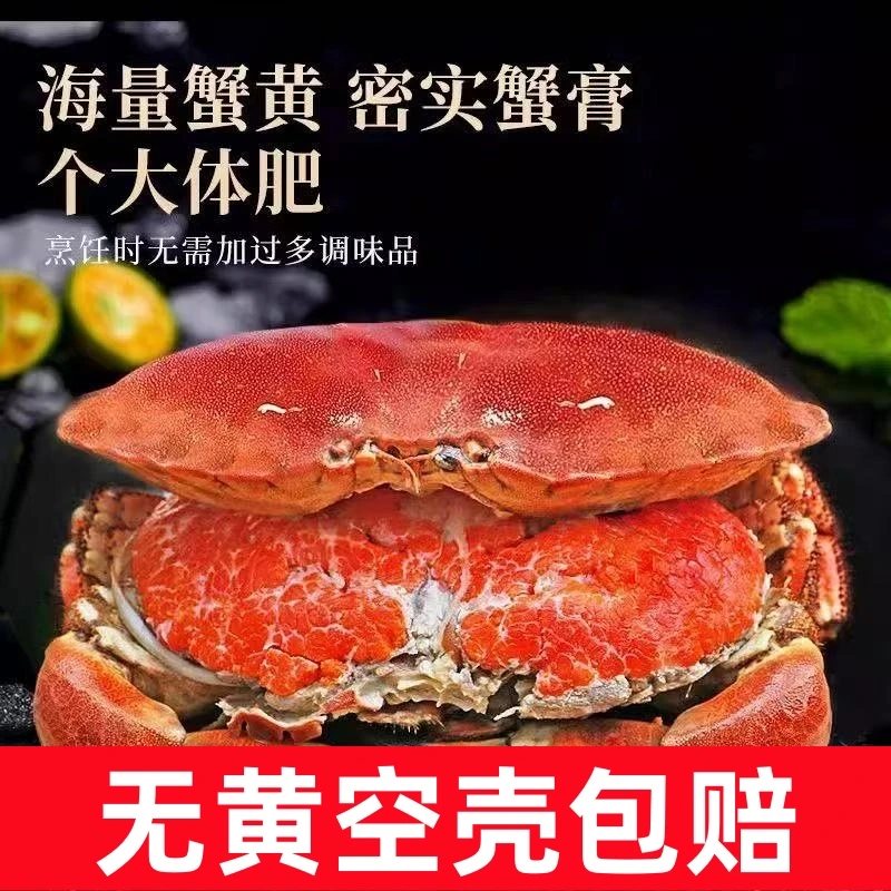 【深海大号面包蟹】熟冻发货带黄带膏面包蟹开袋加热即吃顺丰冷链