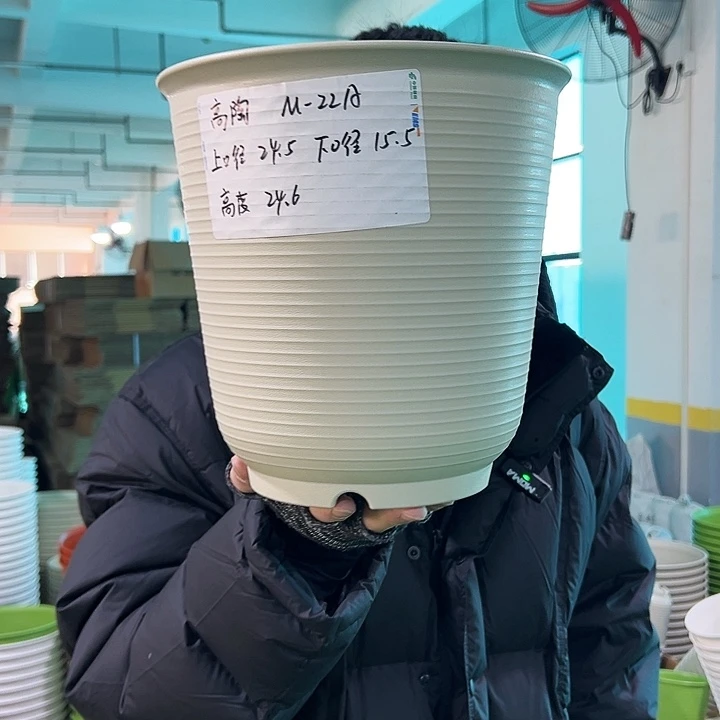 正品高陶口24.5高24.6米色无托5只