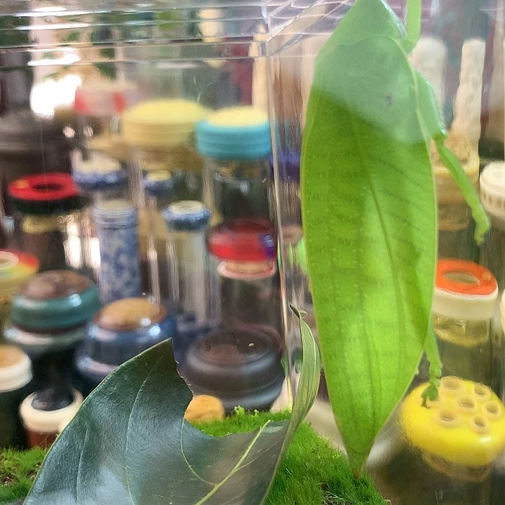 昆*山布鲁娜哈哈哈哈哈哈哈