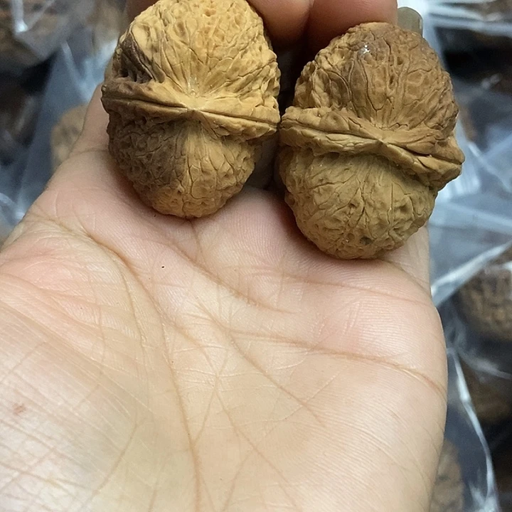 文玩核桃把件云南铁核桃基地6