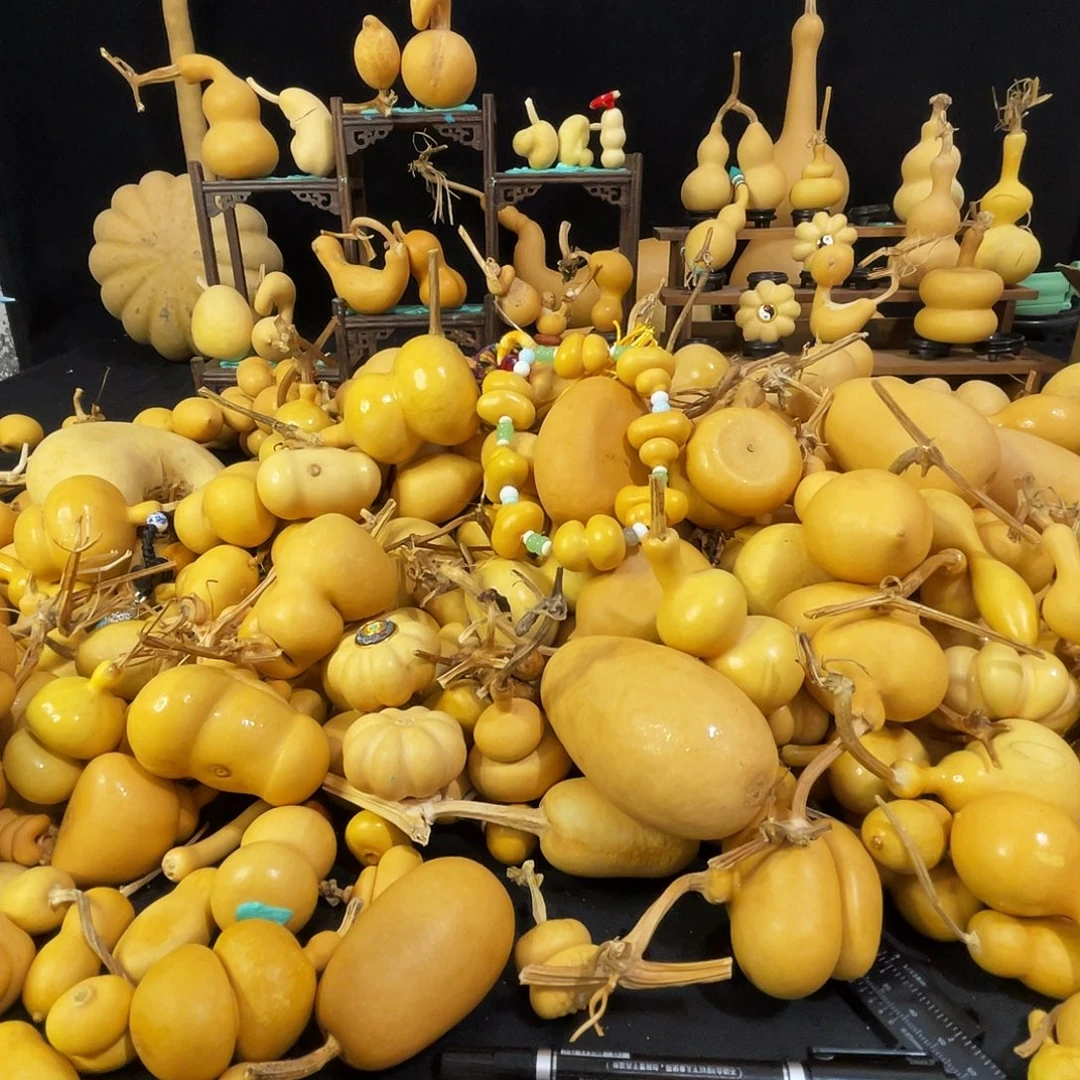 林***辰666666666666666666