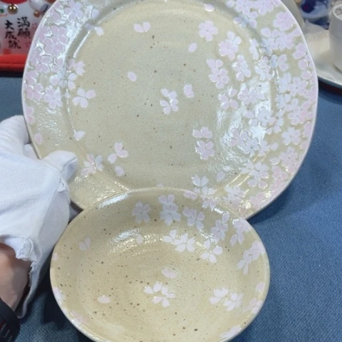 塑料瓷瓷瓷瓷瓷瓷瓷瓷