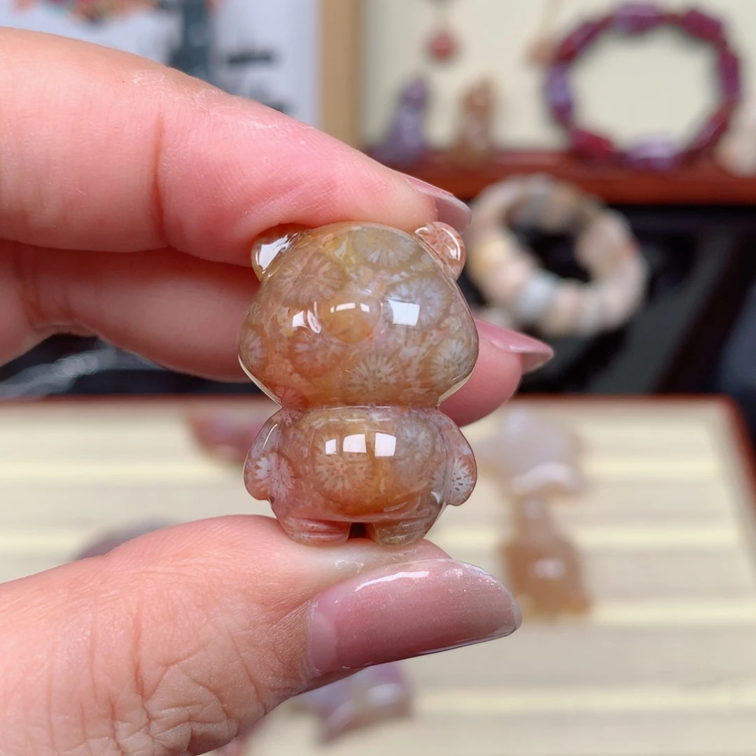 硅化玉珊瑚玉未镶嵌