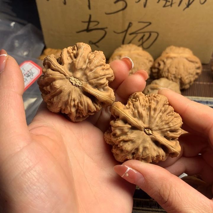 吊坠文玩核桃今**?粗筋