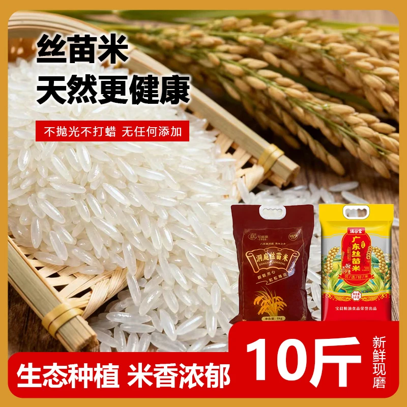 10斤长粒香丝苗米优质新米营养清香稻花香甜颗粒分明大米猫牙米