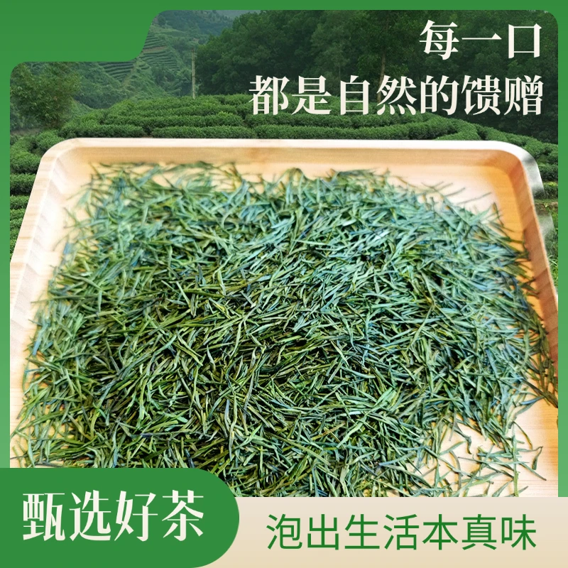 2025精品竹叶青新茶