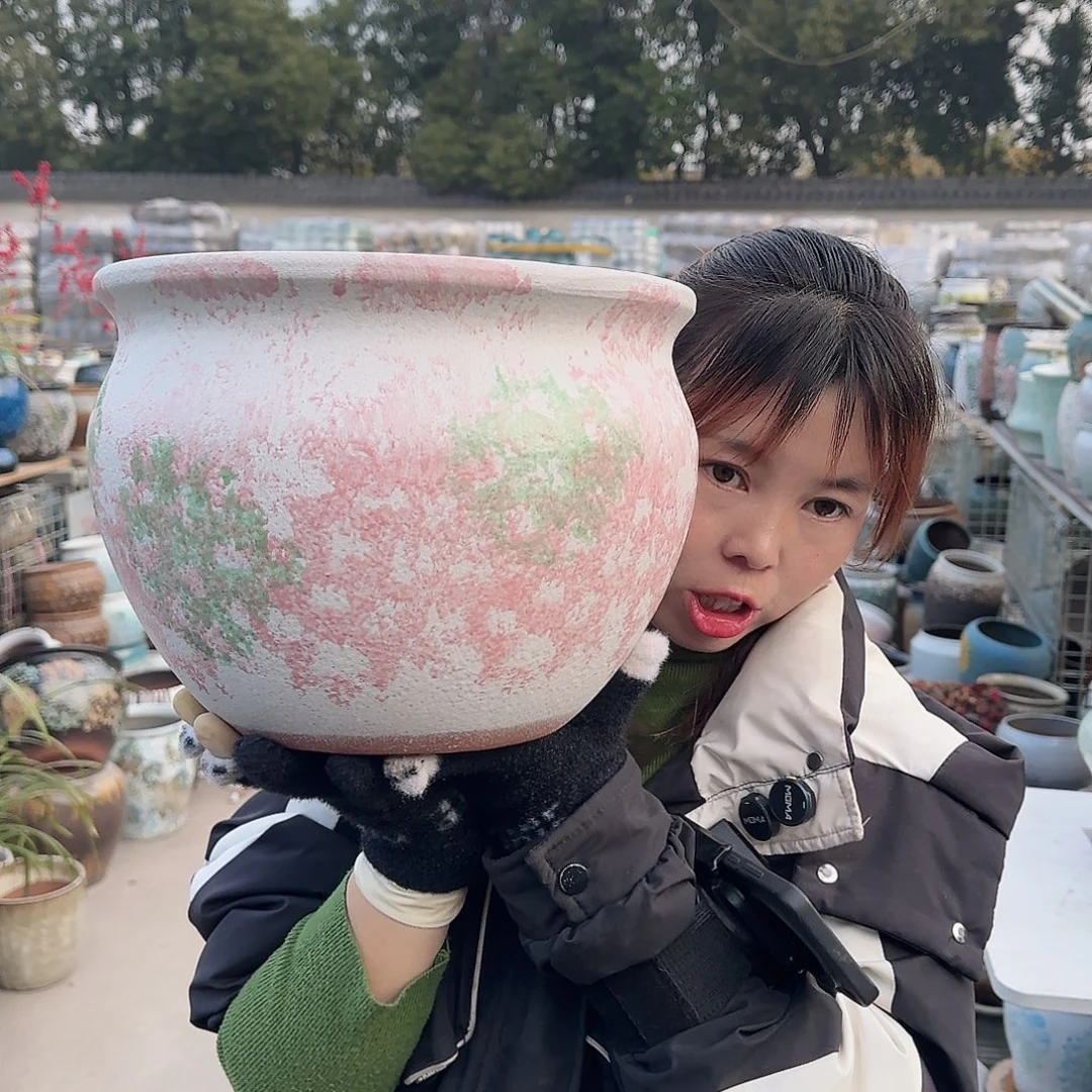 王嫂花盆1223-334高21口28