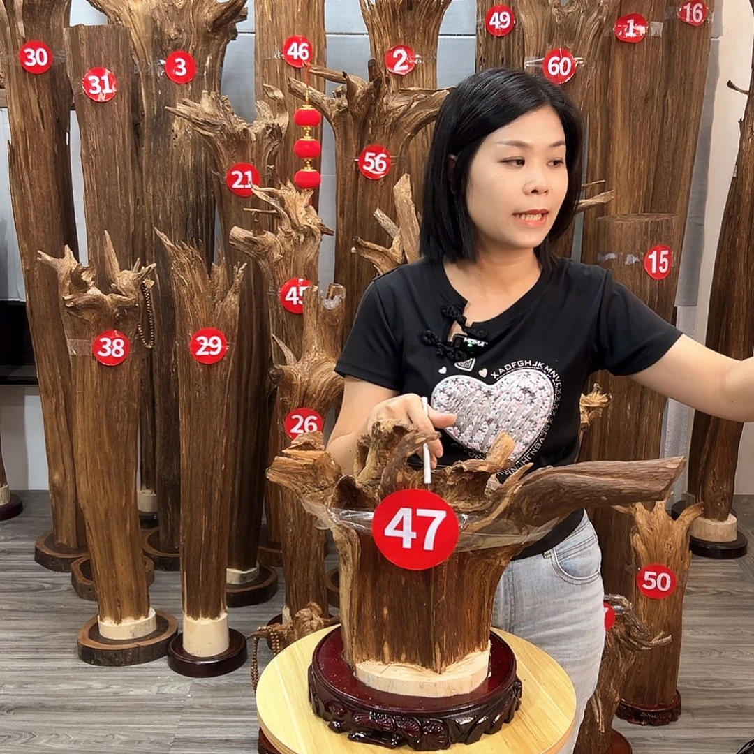 沉香沉香碎屑沉香