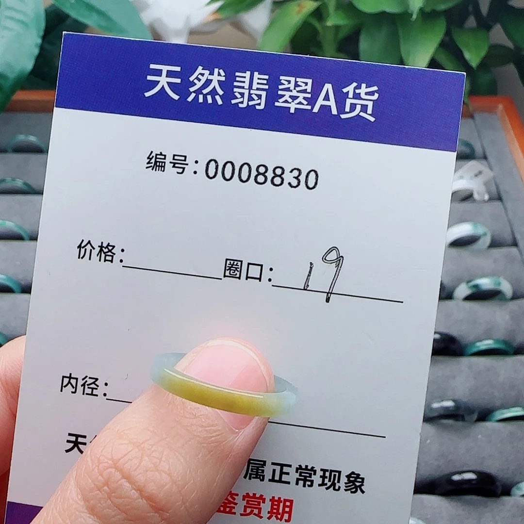 翡翠未镶嵌戒指翡翠