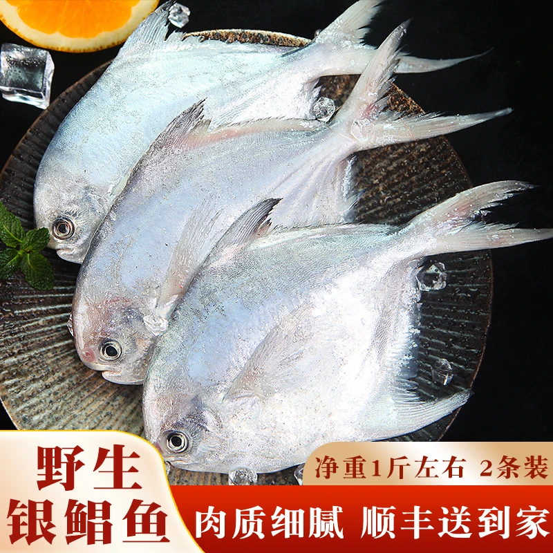 新鲜速冻鲳鱼野生深海鲳鱼1斤2条装鲜活急冻顺丰野生海捕