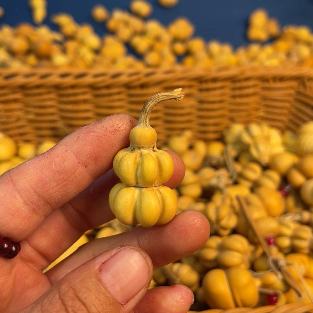 云*裳葫芦葫芦葫芦葫芦