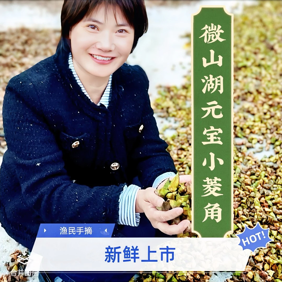【新货上市】微山湖特产小元宝菱角米 水上菱角新鲜采摘自然晾晒