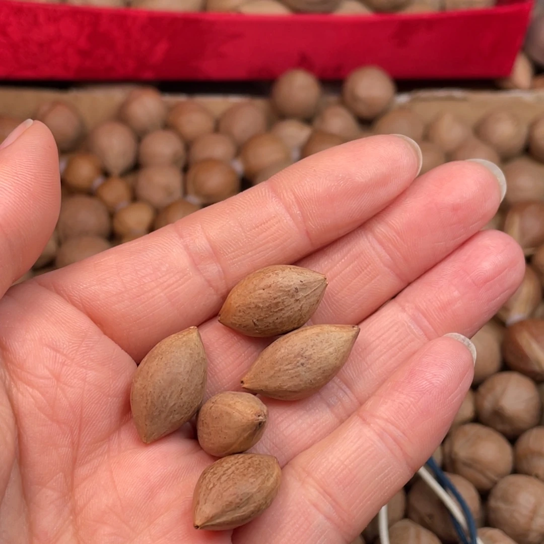 小***饰橄榄核手串/手链1.2的18颗