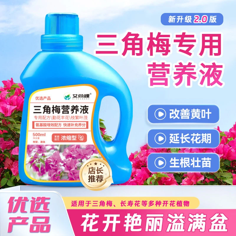三角梅营养液浓缩专用肥开花植物营养液园艺花肥盆栽促花500ml