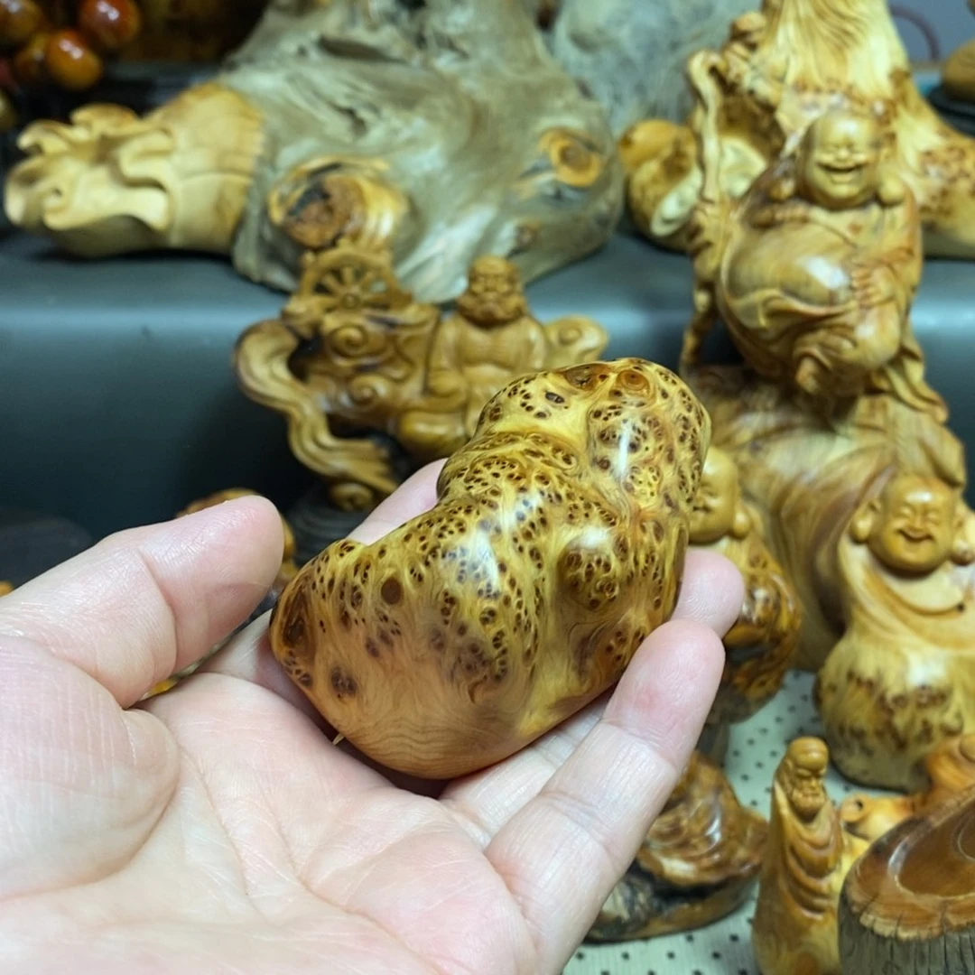 柏木（崖柏）用****4太行山上