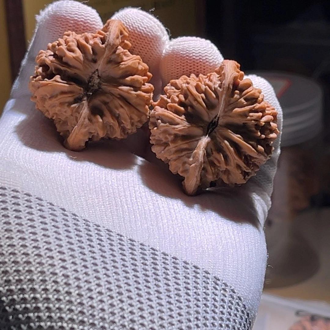 梁***瓜钱品 星星 全品。40