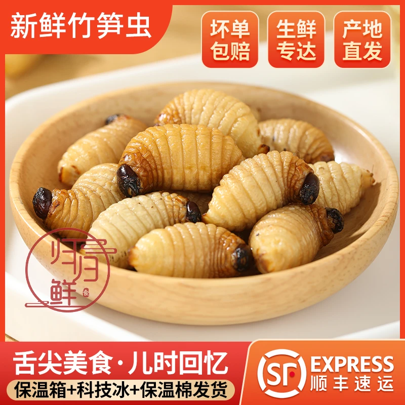 新鲜 速冻 大竹虫 竹笋虫 竹蛹 竹蛆 笋蛆 笋子虫 椰子虫 竹象虫