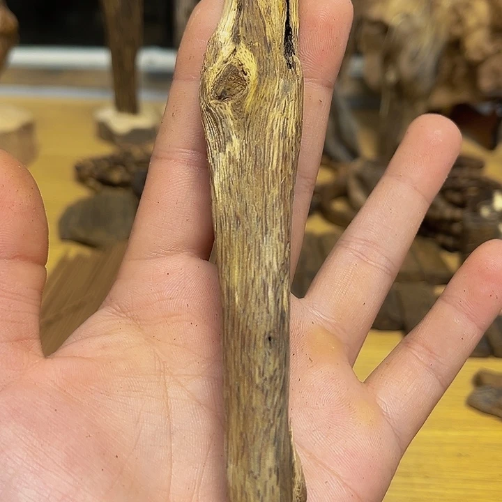 沉香沉香碎屑乌身圆叶20克