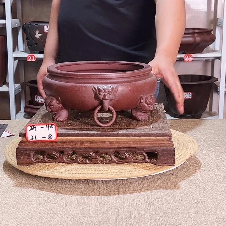 紫砂花盆紫砂花盆