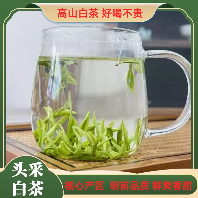 新茶 原产地明前白茶高山绿茶