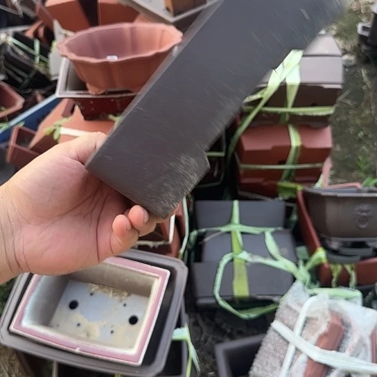 是的呢这一期太好啦