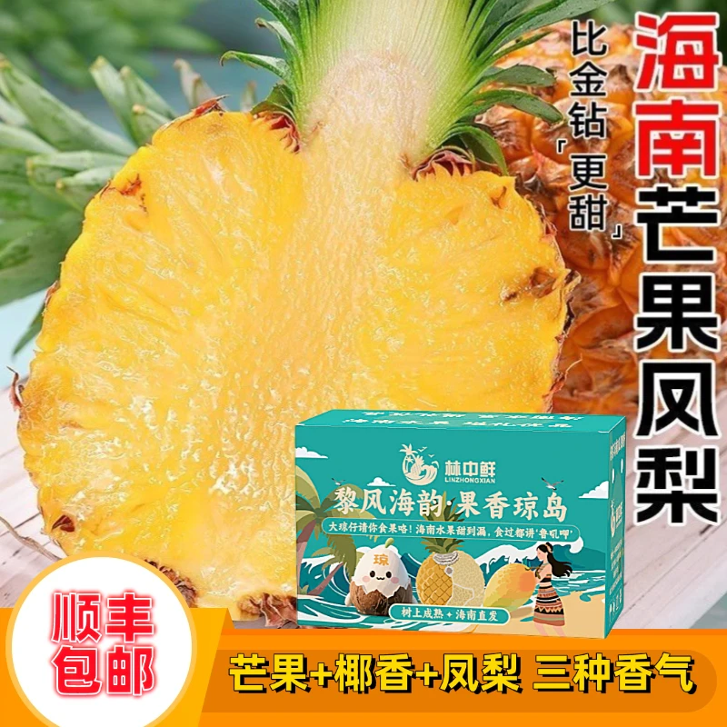【顺丰组合】海南芒果凤梨台农23号稀有水果热带特产甜蜜多汁包邮