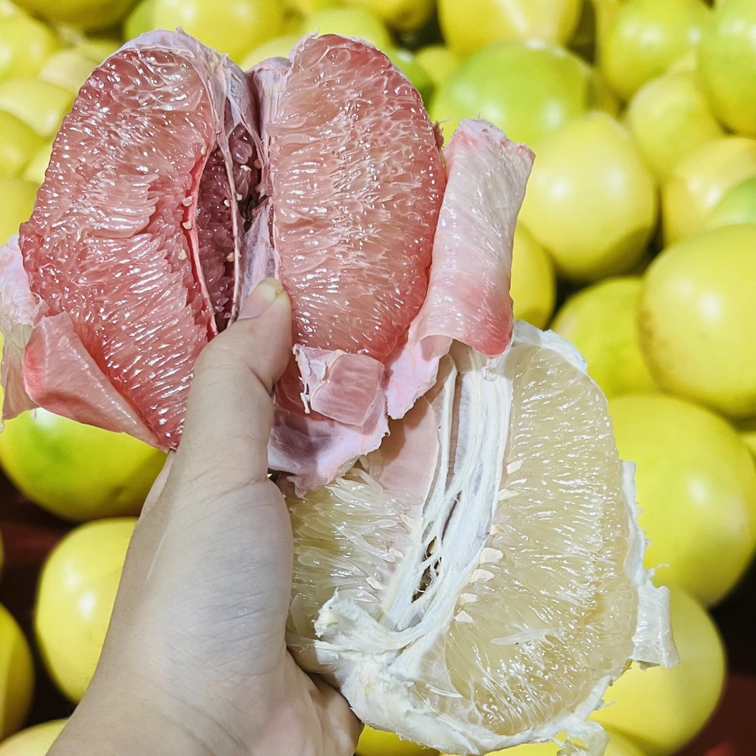 【高山老树梅州红心柚三红柚】当季孕妇水果现摘现发体验装