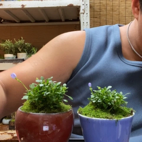 红陶M*一物一拍所见即所得56