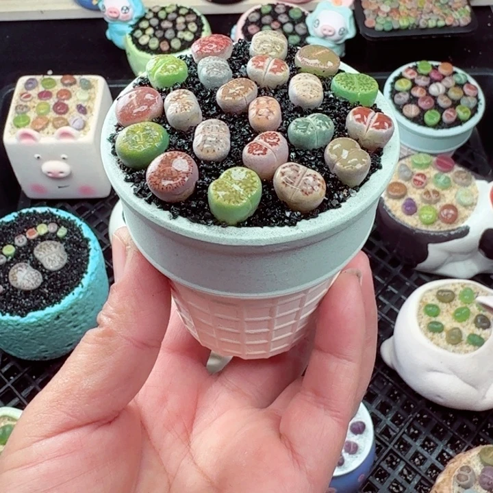 572零下地区记得拍保温箱