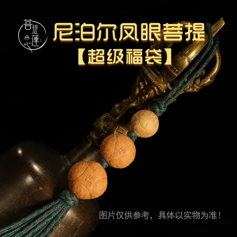 菩提莲心凤眼菩提龙眼菩提麒麟眼小侧挂