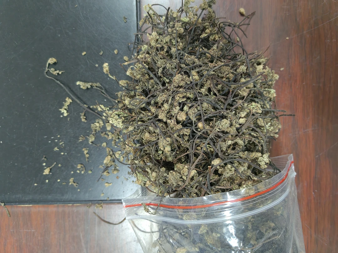 2025年  新晾晒 野生蕨菜  山野菜