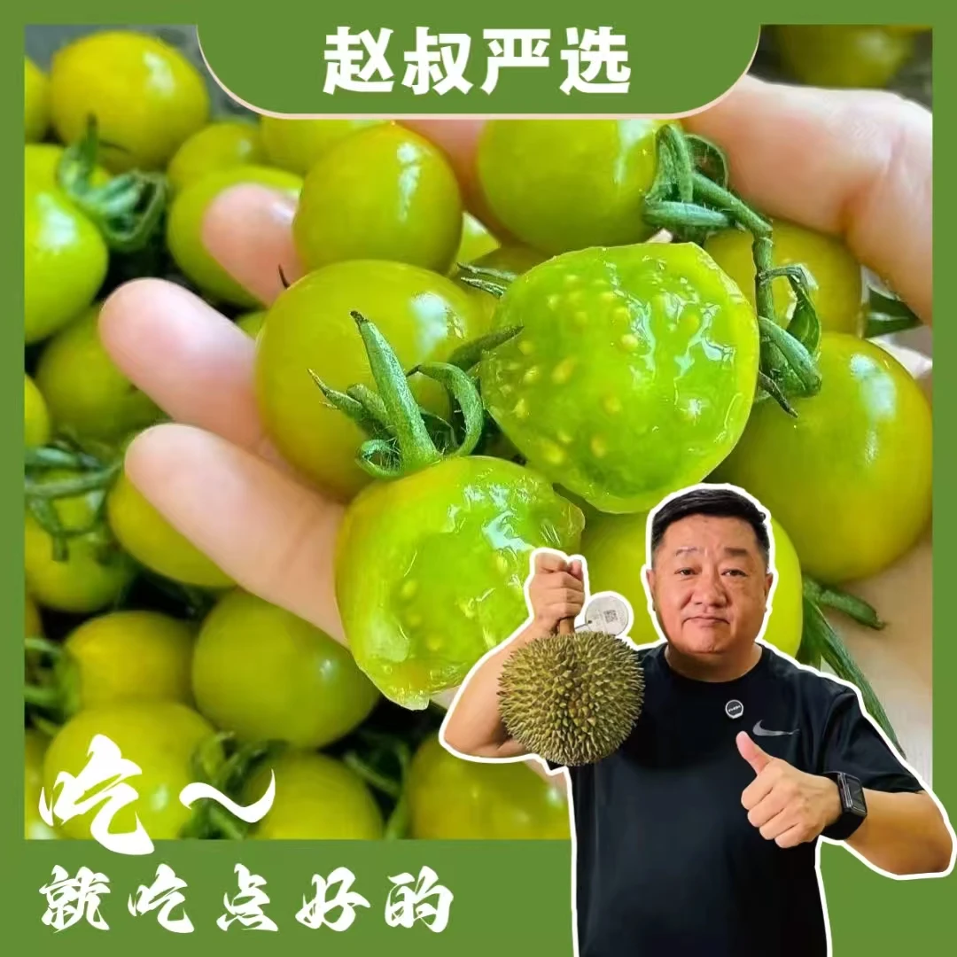 【赵叔严选】清甜小番茄 即食 圣女果 绿宝石小西红柿山东省