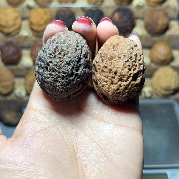 把件文玩核桃23号橄榄石37尺