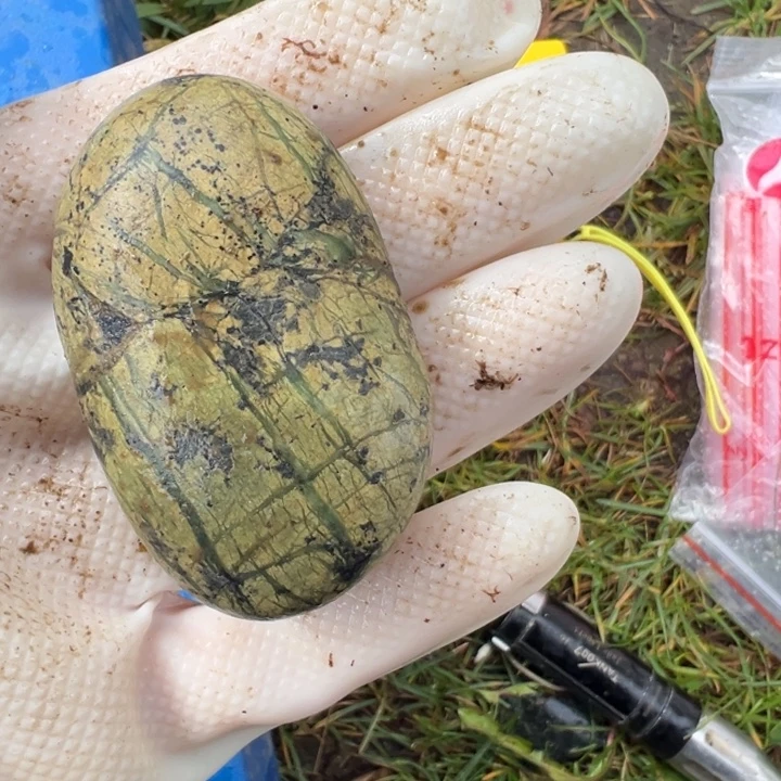 s***e长石玉合金藏玉藏玉